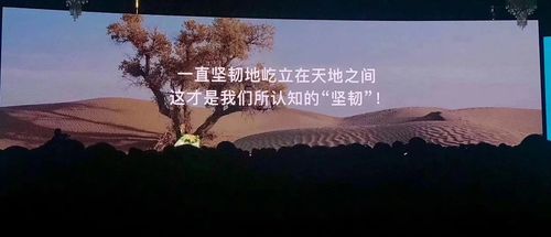 微信图片_20190118173032.jpg
