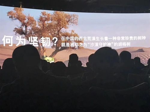 微信图片_20190118173025.jpg