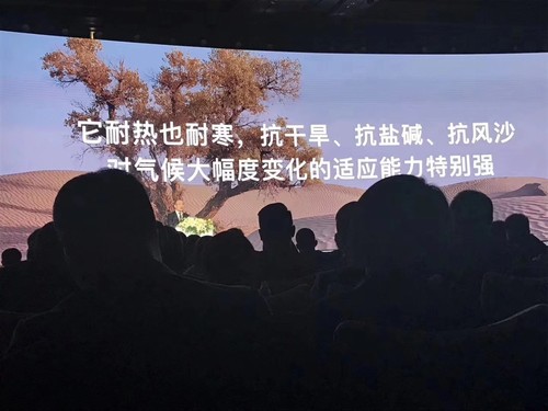 微信图片_20190118173029.jpg